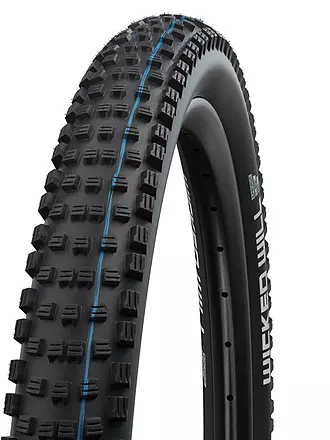 Schwalbe bike on sale